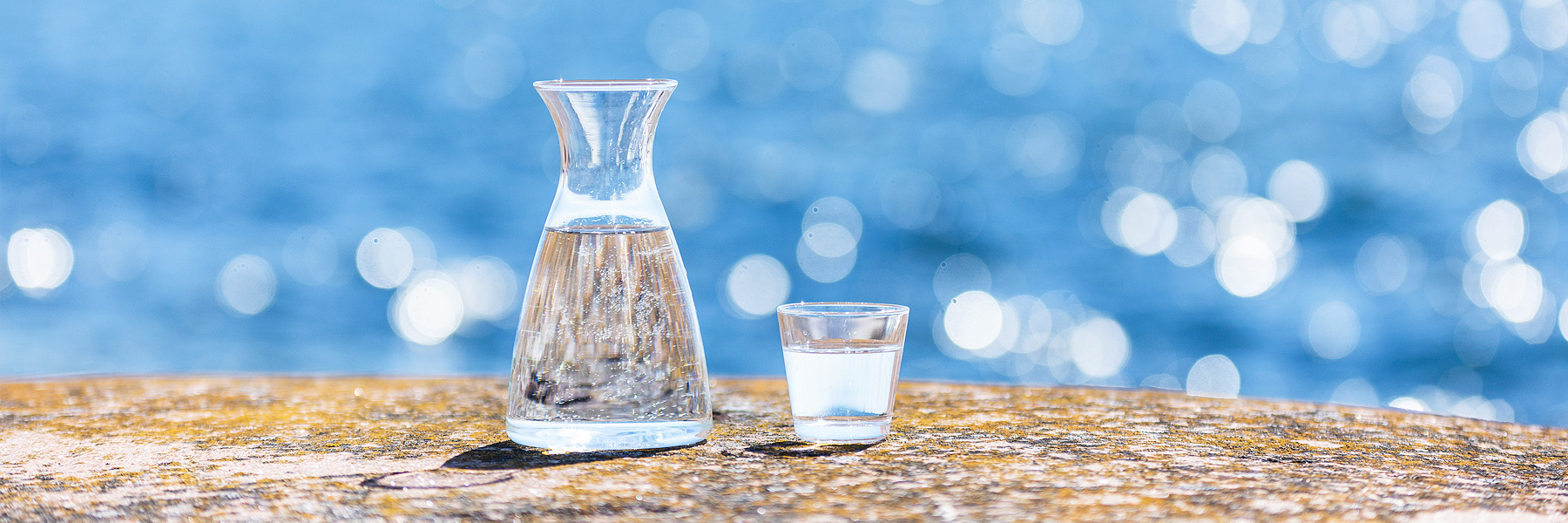 Solar Water Solutions